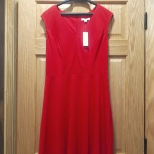 New York and Company Red Dress